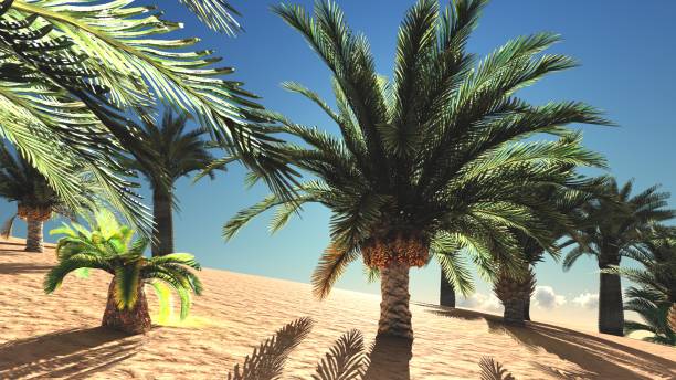 istock Lush spectacular plants on wilderness in the evening, 3d rendering 854369572