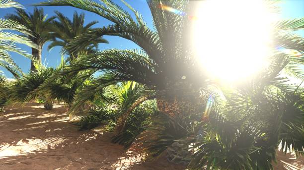 istock Rich exotic plant life on desert later in the day, 3d rendering 854369642