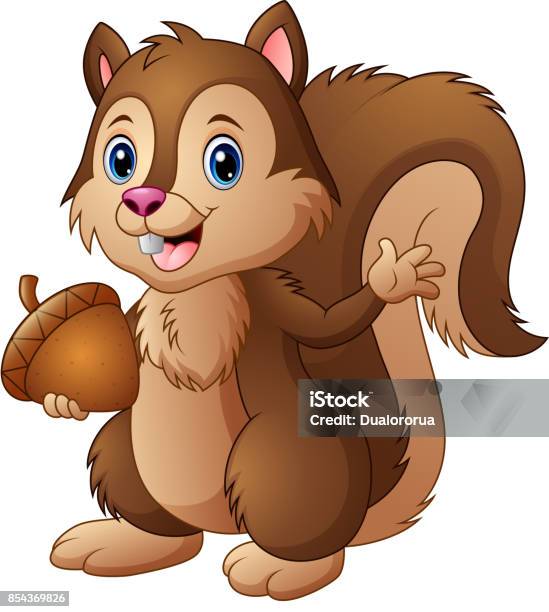 Cartoon Squirrel Holding An Acorn Stock Illustration - Download Image Now - Squirrel, Cartoon, Acorn