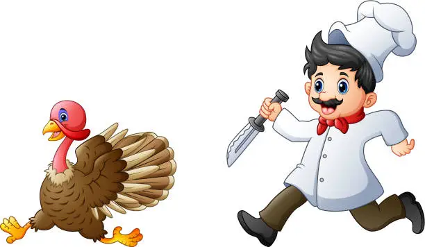 Vector illustration of Cartoon chef chasing a turkey