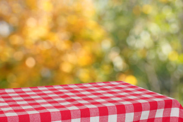 istock Empty table with a red checkered cloth in the autumn garden. Blurred background. 854370046
