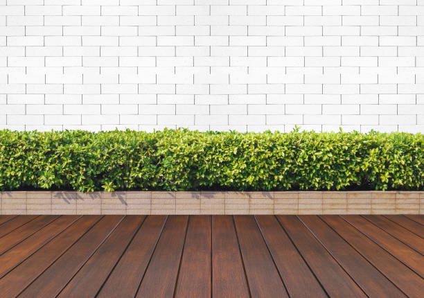 istock wood floor with plant and white brick wall 854370130