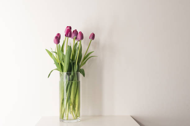 istock Purple tulips in tall glass vase 854371138