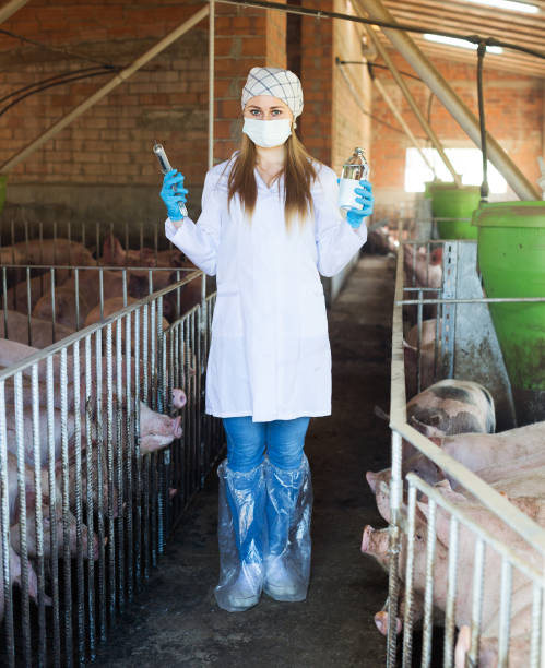 istock Woman holding syringe and bottle 854385586