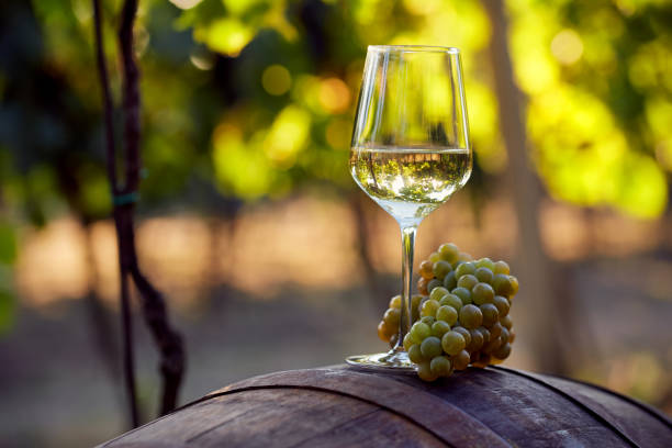 White wine with grapes on a barrel A glass of white wine with grapes on a barrel winery stock pictures, royalty-free photos & images