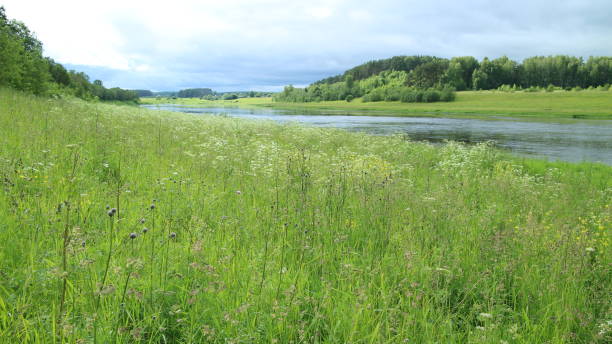 istock on the river bank landscape 854397816