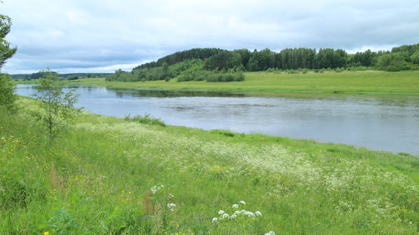 istock on the river bank landscape 854398388