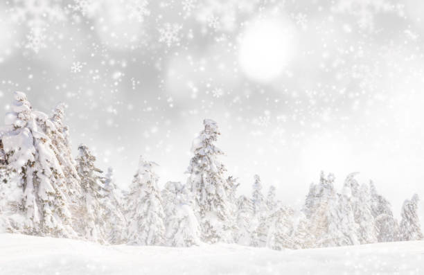istock Christmas decoration on abstract background 854402554