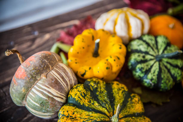 istock Colorful Halloween and Thanksgiving decoration 854405544