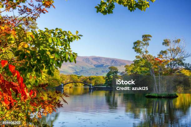 Autumn Colors　of Onuma Quasi National Park Stock Photo - Download Image Now - Asia, Autumn, Autumn Leaf Color