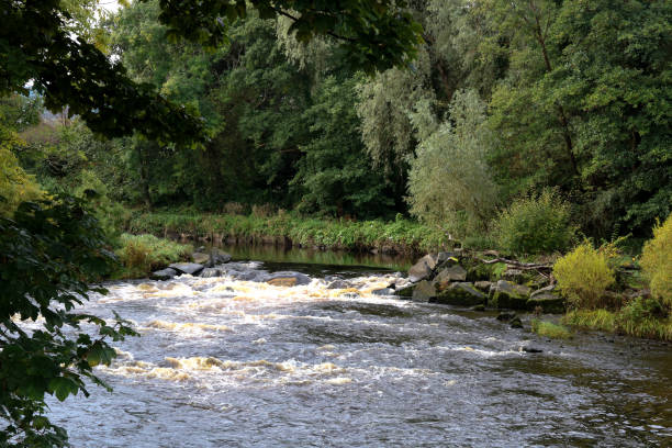 istock Autumn River Scene in Scotland 854408490