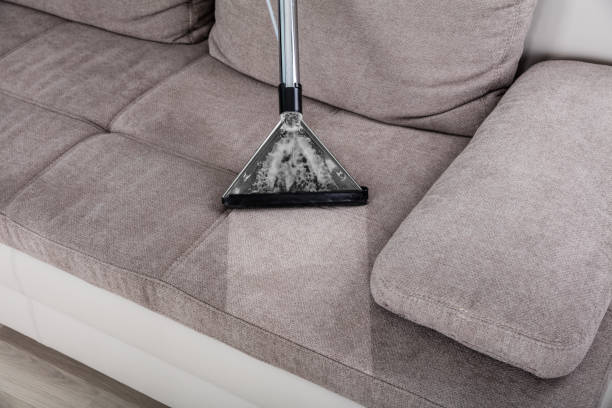 Woman Cleaning Sofa With Vacuum Cleaner Stock Photo - Download Image Now -  Cleaning, Sofa, Dirty - iStock