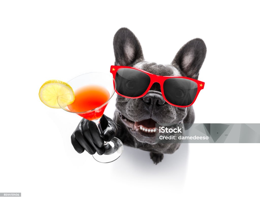 bêbado cachorro beber um cocktail - Foto de stock de Cão royalty-free