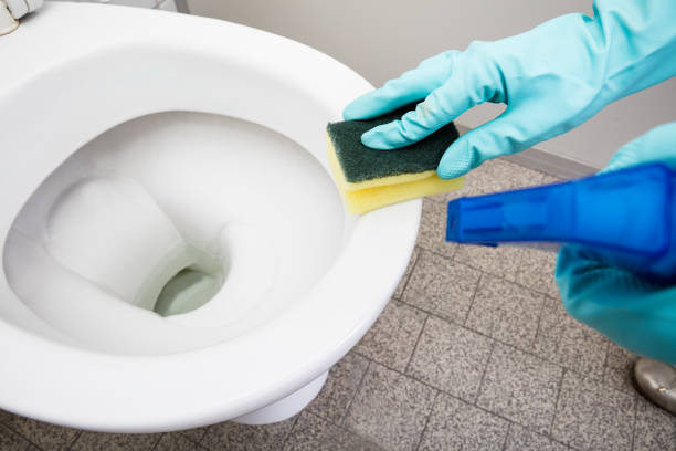 istock Person Hand Cleaning Toilet Using Sponge 854414266