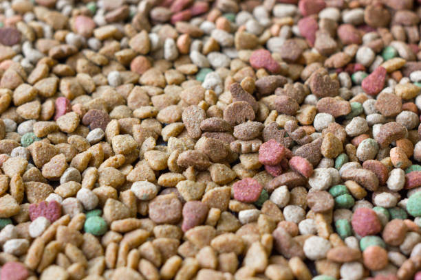 istock Dry pet food background. 854418532