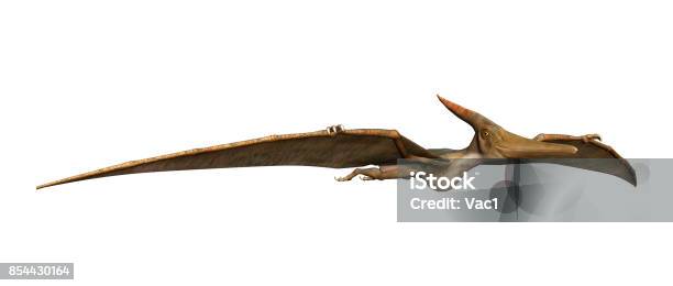 Egg Pterodactyl 3d Rendering Stock Illustration 747776197