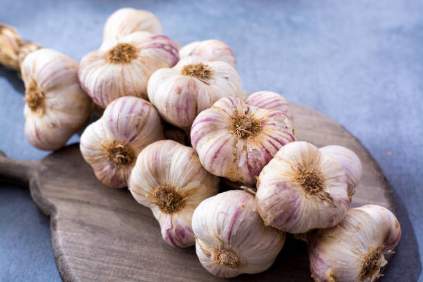 istock New harvest french violet garlic braid 854434344