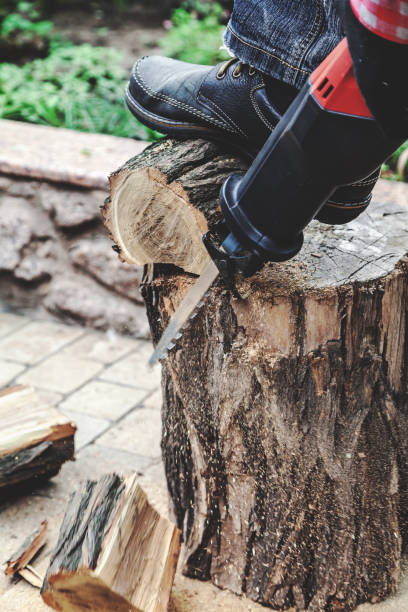 istock Reciprocating power saw sawing round timber closeup 854462040