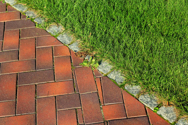 istock Border kerb between green grass lawn and tiled sidewalk in a park 854463058