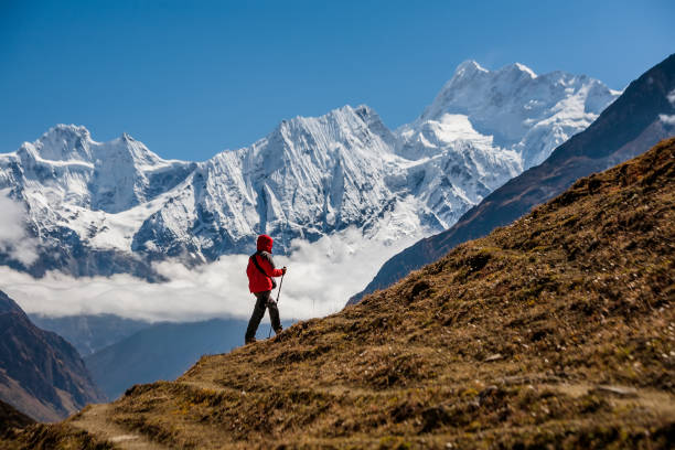 istock Trekker on Manaslu circuit trek in Nepal 854463064