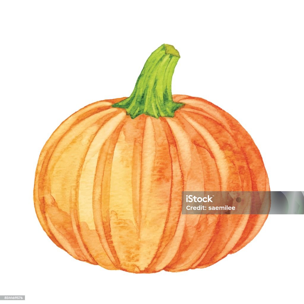 Calabaza de acuarela - arte vectorial de Calabaza gigante libre de derechos