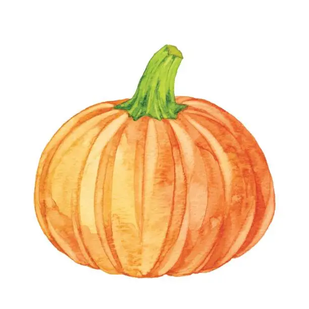 Vector illustration of Watercolor Pumpkin