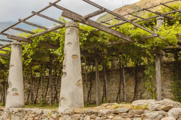 pylons, stone and lime columns and chestnut poles support the pergola of rows of grapes