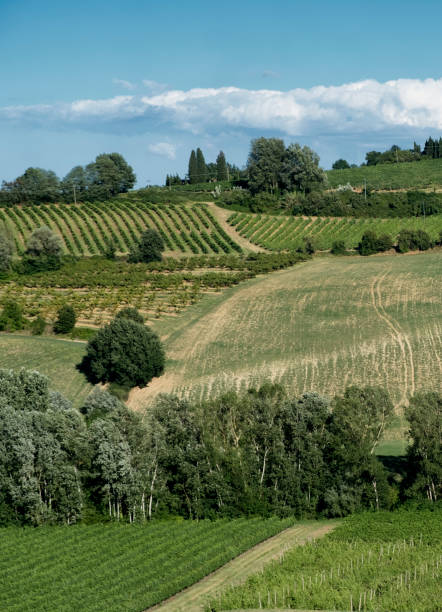 istock Landscape between Imola and Riolo Terme (Emilia Romagna) 854483910