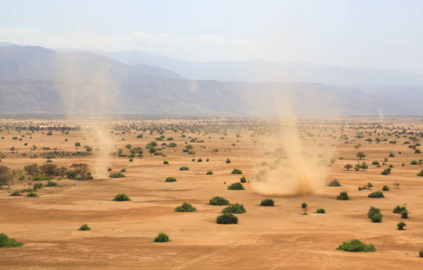 Aerial view dust devils in the Shompole conservancy area, near Lake Magadi, Kenya Aerial view of dust devils in Shompole conservancy area in the Great Rift Valley, near Lake Magadi, Kenya. In this semi-arid region, animals and plants survive thanks to the waters of the Brown River (Ewaso Ngiro) that flow to nearby Lake Natron in Tanzania. The Rift Valley contains a chain of volcanoes and many other lakes such as the Turkana, Baringo, Bogoria and Nakuru. The area is inhabited by the cattle-herder Masai tribes. The relics of many hominids have been found in the escarpments. lake bogoria stock pictures, royalty-free photos & images