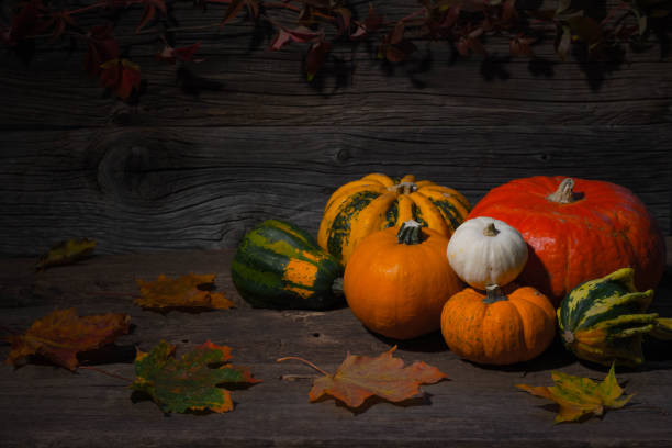 istock Pumpkins on wooden background, autumn still life 854495202