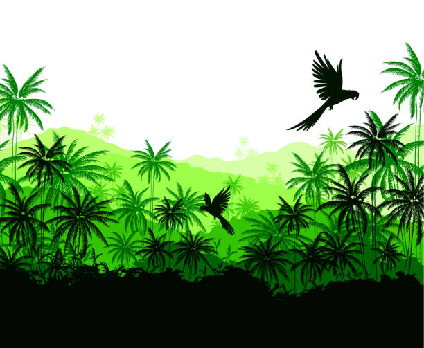 Green palms and parrots Tropical landscape with green palms and parrots pics for toucan flying stock illustrations