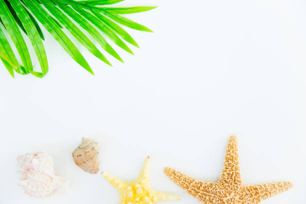 istock Summer vacation things neatly organised. Travel concept. Flat lay. 854515468