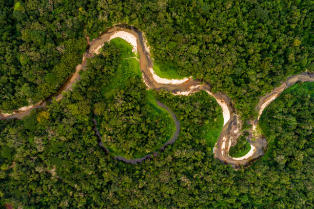 istock Aerial View of Amazon Rainforest, South America 854515716