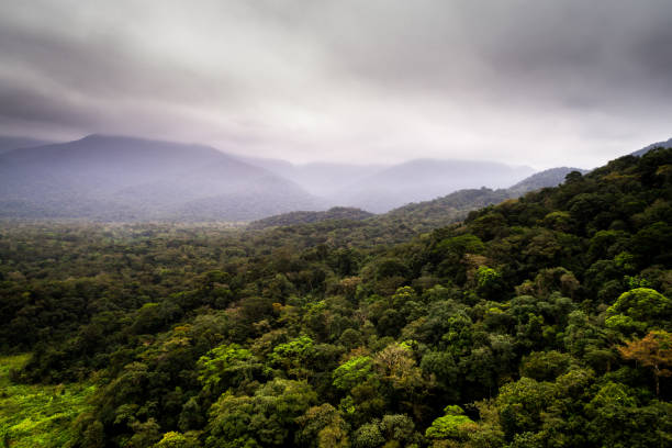 istock Forest Landscape and Mountains in a Cloudy day in Brazil 854515722