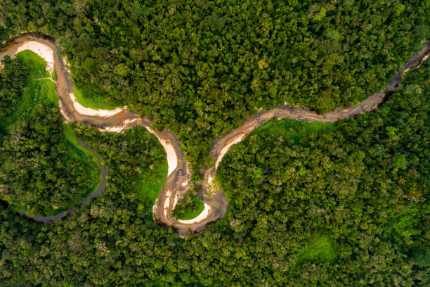 istock Aerial View of Amazon Rainforest, South America 854515734