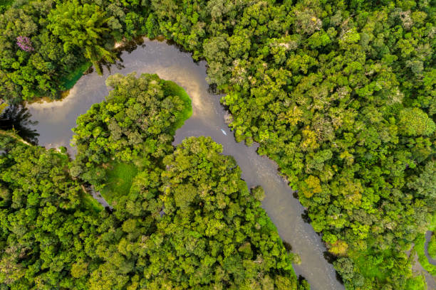 istock Aerial View of Amazon Rainforest, South America 854515760