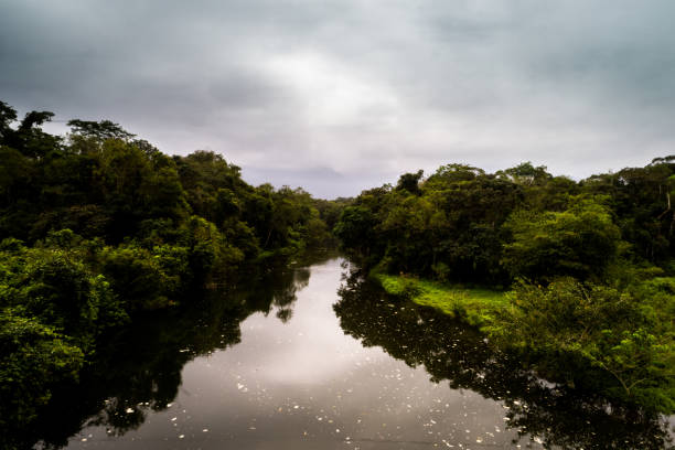 Aerial View of Amazon Rainforest, South America