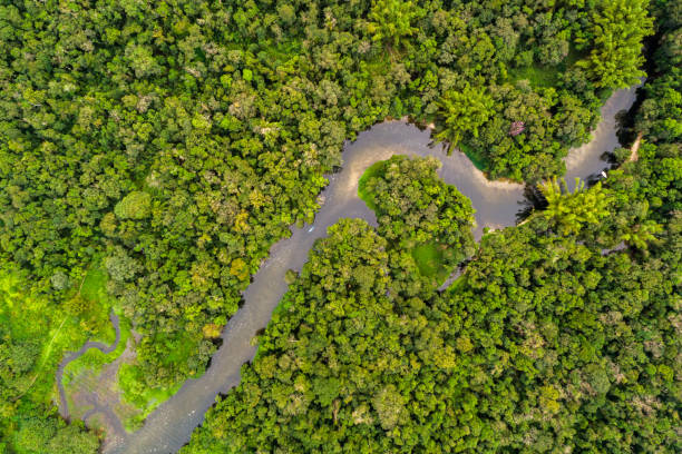 istock Aerial View of Amazon Rainforest, South America 854515772