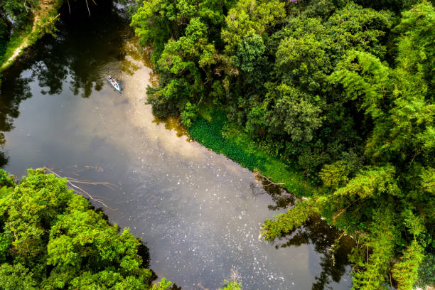 istock Aerial View of Amazon Rainforest, South America 854515776