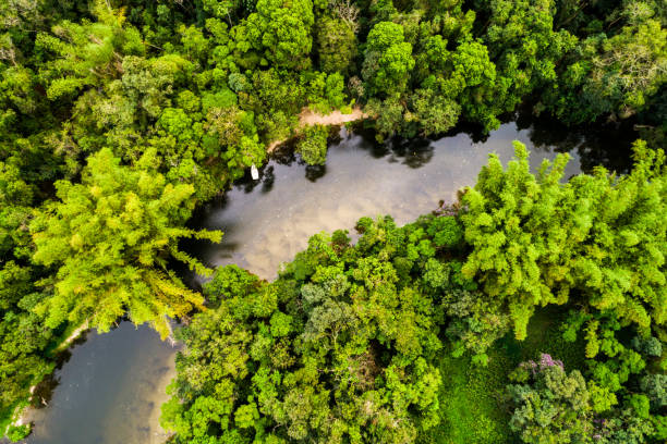 istock Aerial View of Amazon Rainforest, South America 854515810