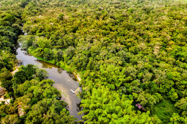 istock Aerial View of Amazon Rainforest, South America 854515812