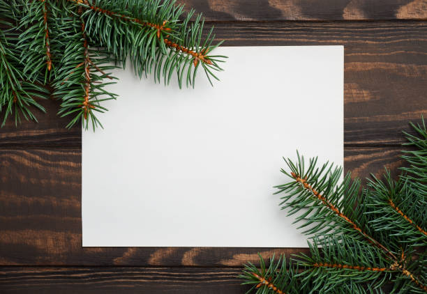 istock Christmas background with fir branches. 854529768