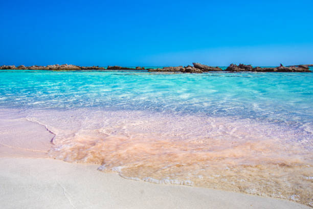 istock Tropical sandy beach with turquoise water, in Elafonisi, Crete 854534274