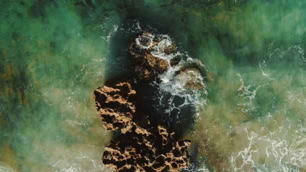 istock Aerial View at Coral Cove Park 854539116