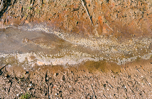 Polluted rivulet in the countryside in Eastern Thuringia