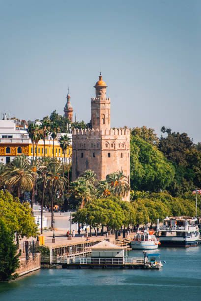 torre del oro, naranjas - seville sevilla andalusia torre del oro fotografías e imágenes de stock