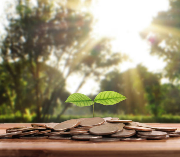 istock graph money coins stock finance 854544318