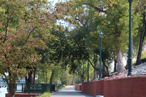 istock Walkway beside a river with trees and brick retaining wall 854545162