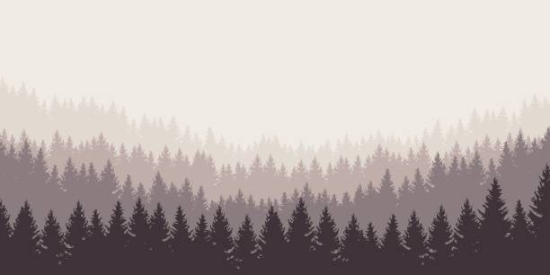 panoramic vector illustration of a forest under a overcast gray sky, layered panoramic vector illustration of a forest under a overcast gray sky, layered landscape nature plant animal stock illustrations