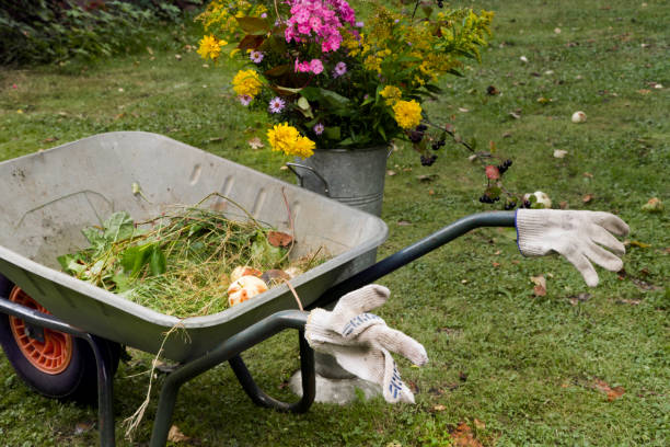 istock Gardening In Autumn 854554758